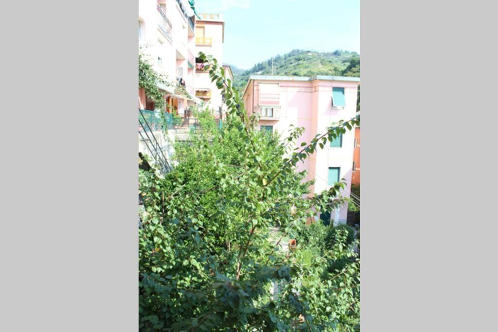 Apartament Ca Du Rocco - Citra 011019-Lt-0343 Monterosso al Mare Zewnętrze zdjęcie